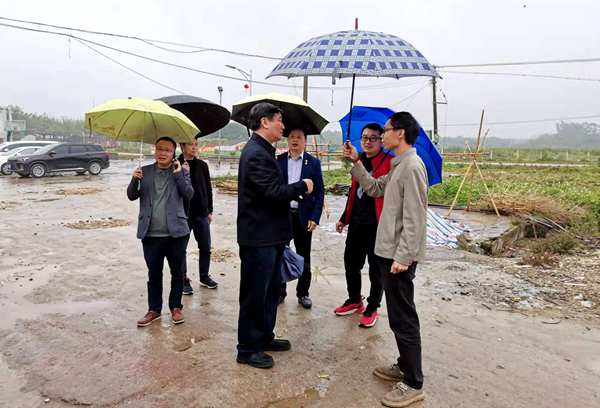 企联会研究帮扶恩平大田镇白石村安装路灯_副本.jpg