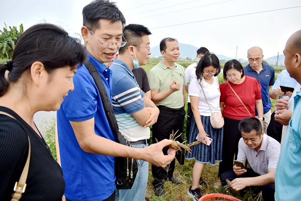 民进专题调研组参观新兴养殖业“坦洲青蓝龙”育苗和人工养殖基地现场_副本.jpg