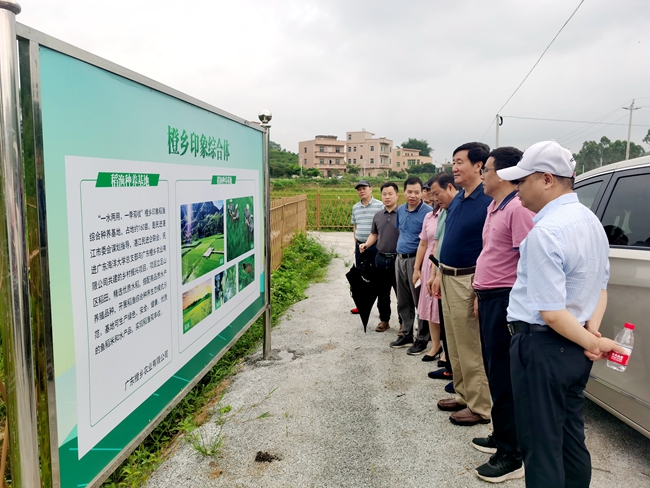 2023年6月14-16日民进江门市委会课题组到湛江市开展农业生产服务体系建设情况调研。_副本.jpg