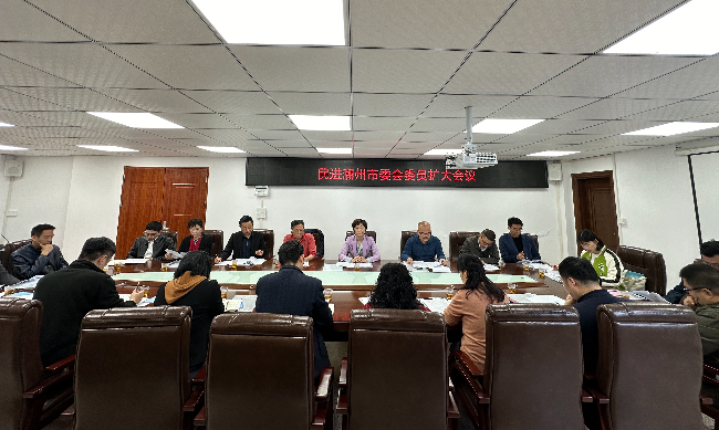 市委会委员会扩大会议 (2).jpg