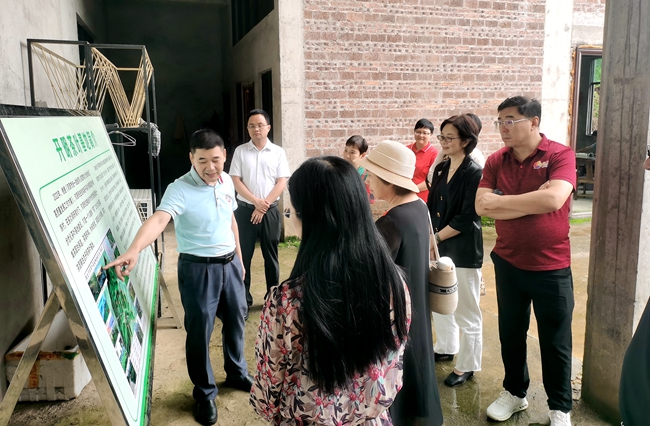 调研组考察内莞镇蓝洲村开明茶叶基地_副本.jpg