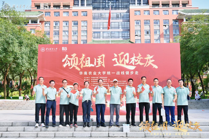 图片244.jpg