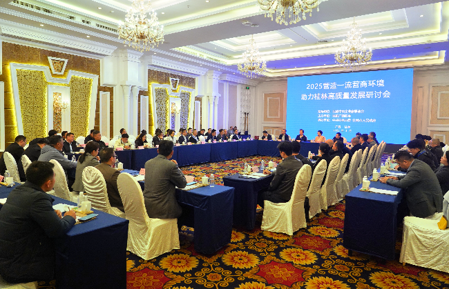 助力桂林高质量发展.jpg